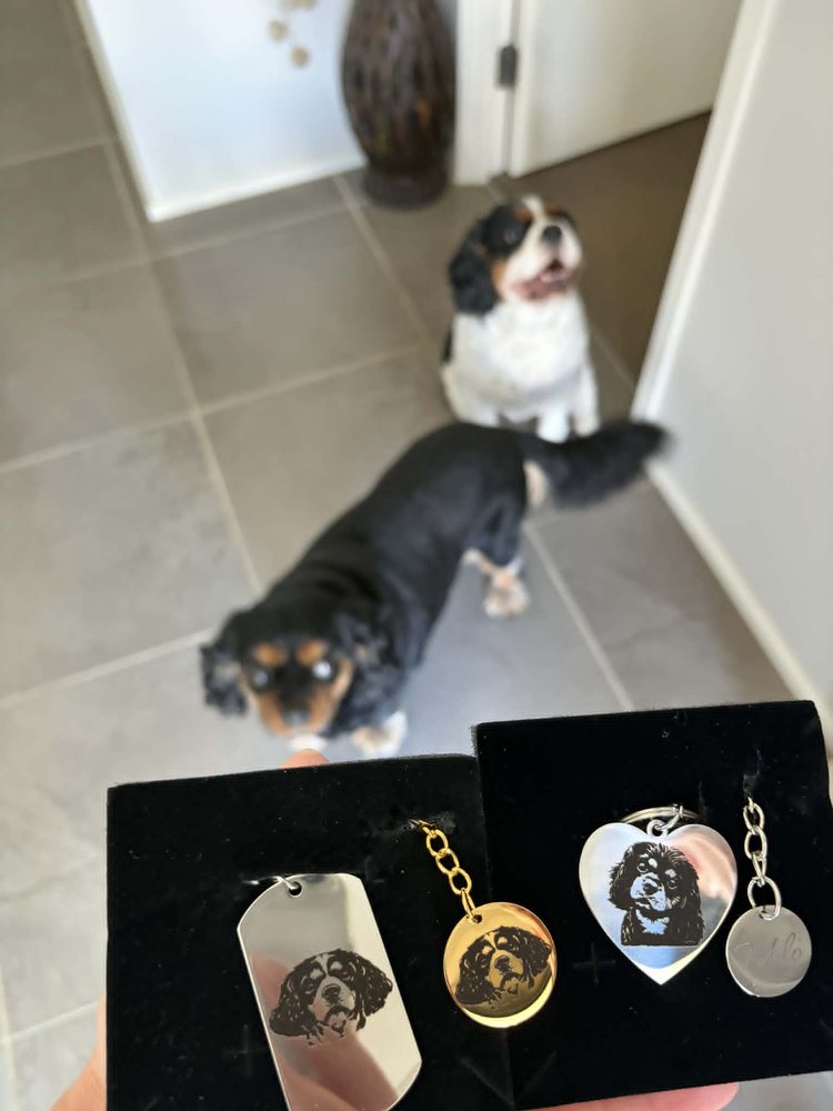 Jackson's two cavaliers with their engraved charms